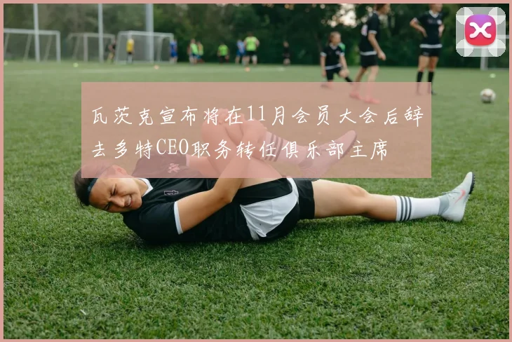 瓦茨克宣布将在11月会员大会后辞去多特CEO职务转任俱乐部主席