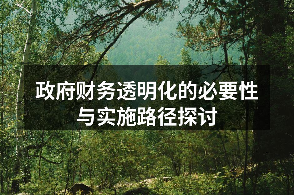 政府财务透明化的必要性与实施路径探讨