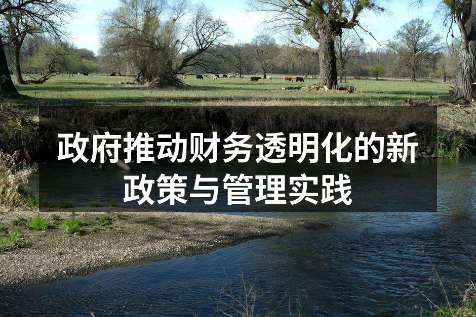 政府推动财务透明化的新政策与管理实践
